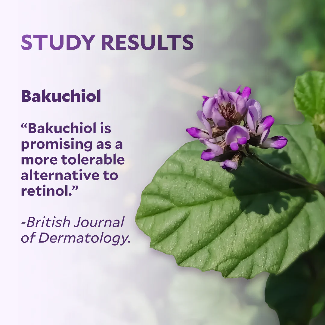 Bakuchiol Rejuvenating Facial Treatment - Image 5